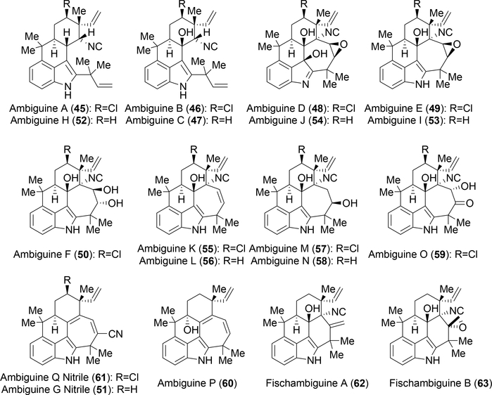 Figure 4: