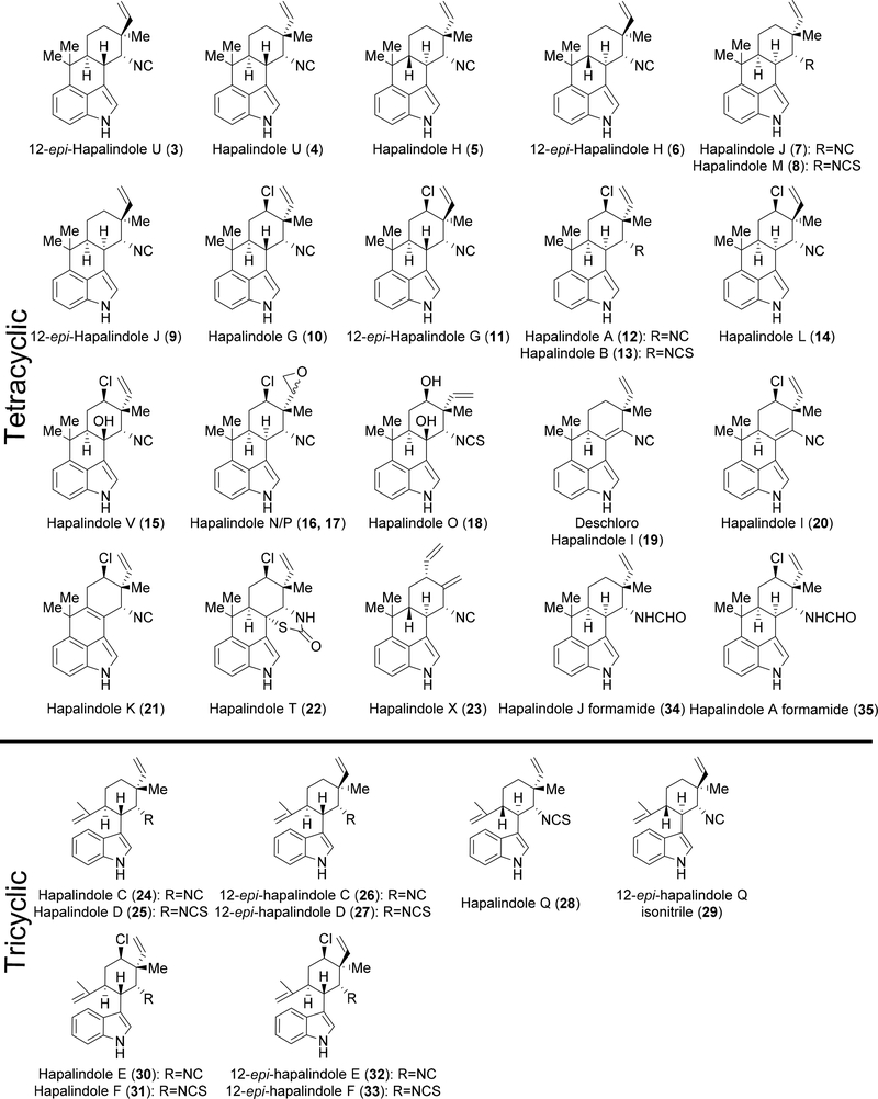 Figure 1: