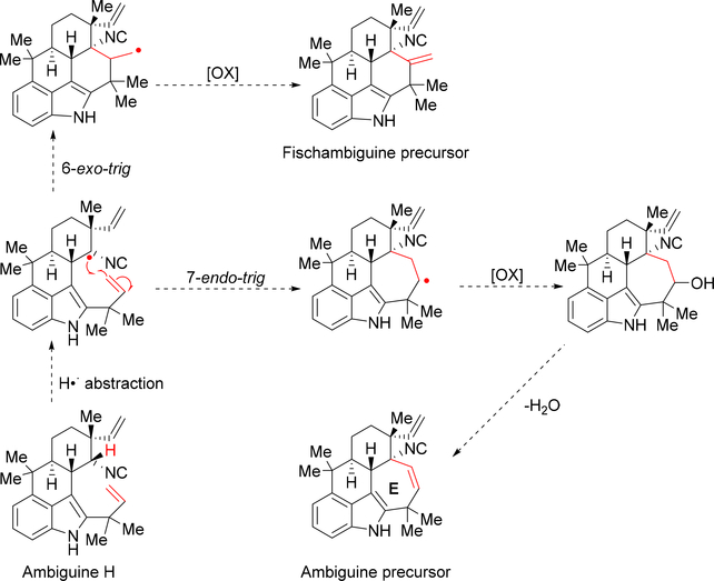 Figure 5: