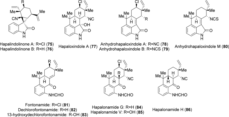 Figure 7: