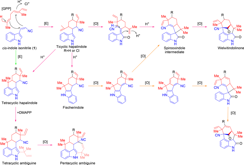 Figure 10: