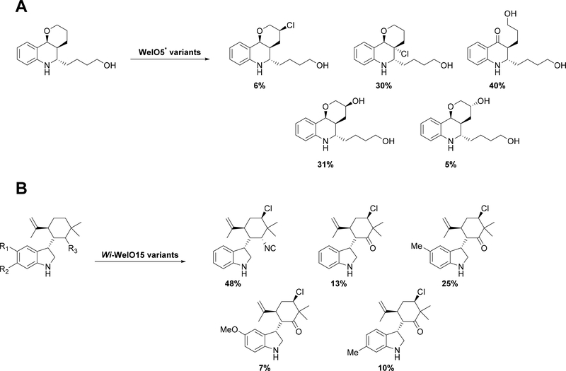 Figure 22: