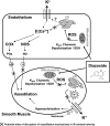 Fig. 8.