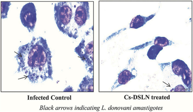 FIGURE 15