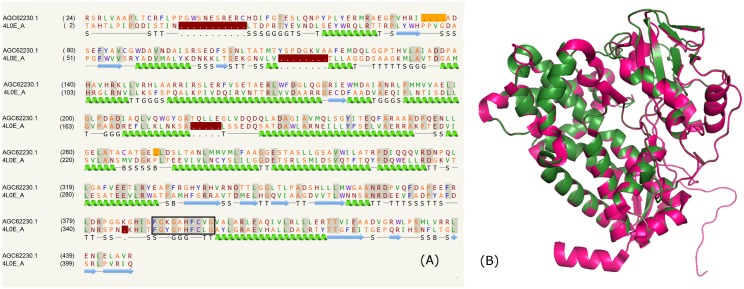 Fig 6