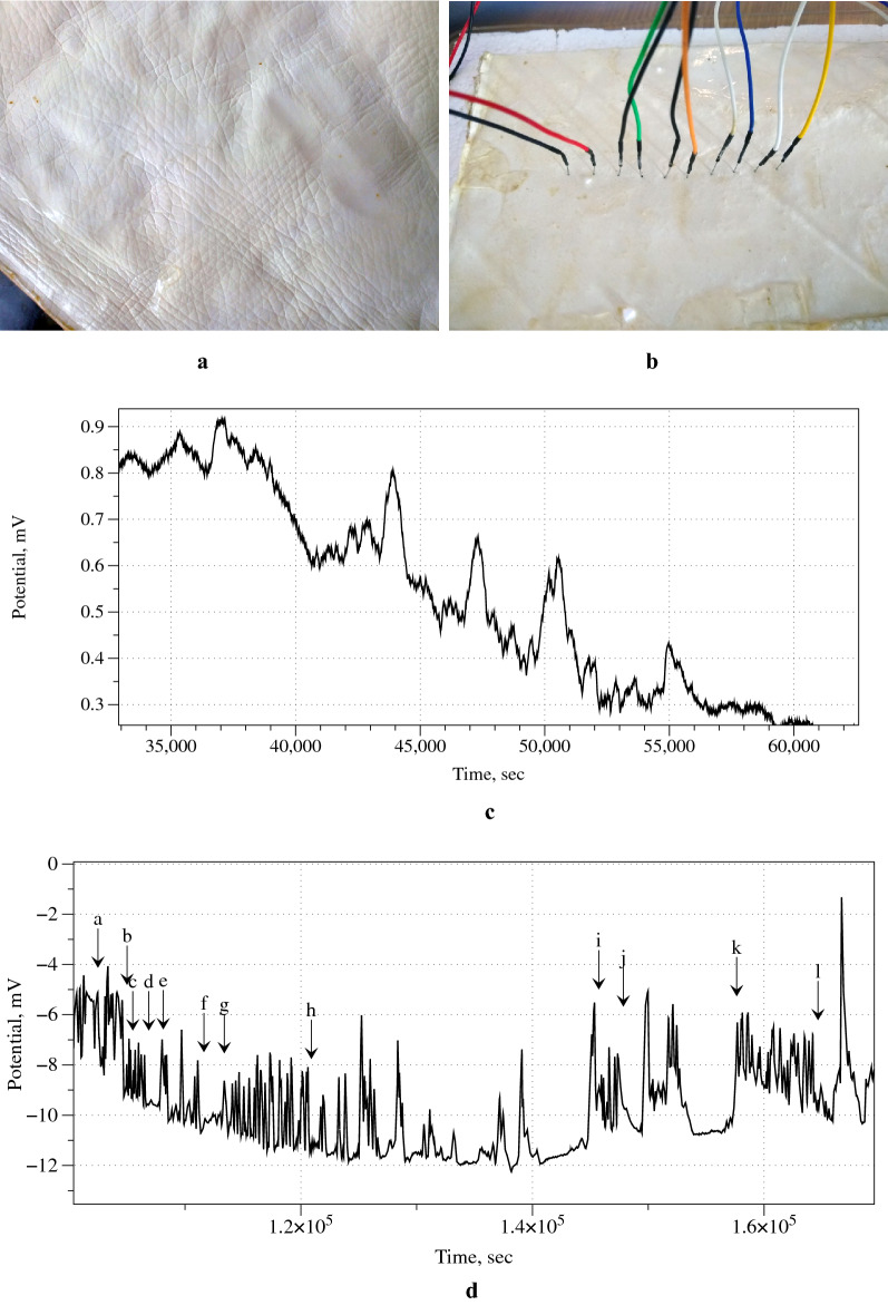 Fig. 4