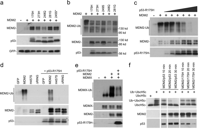 FIG 1