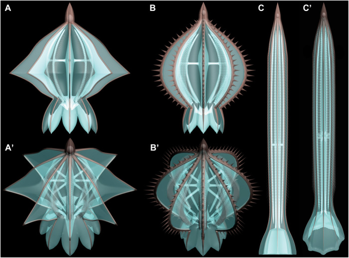 Fig. 3