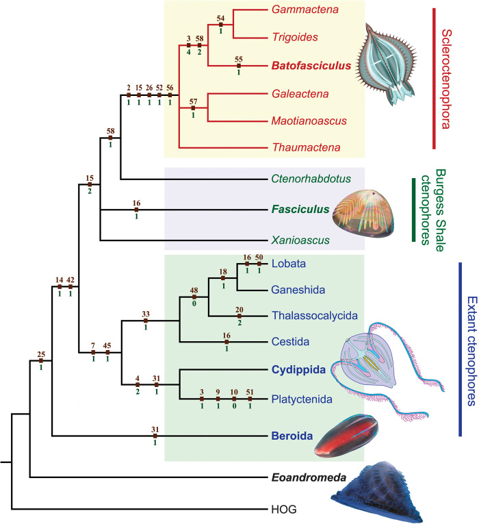 Fig. 4