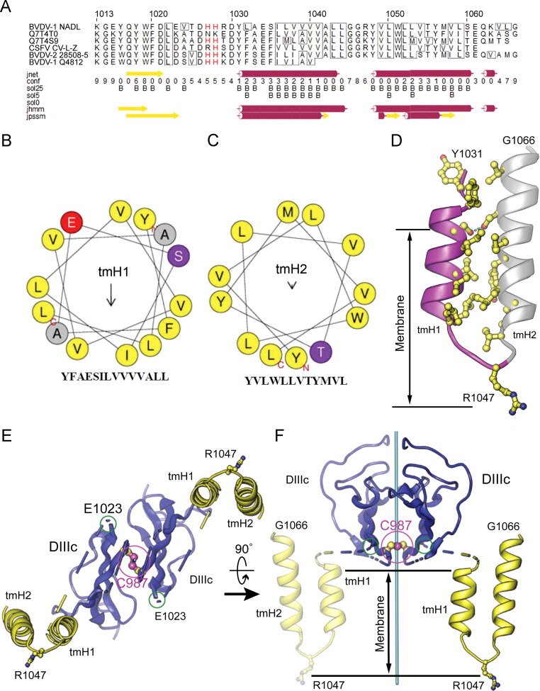 Fig. 2