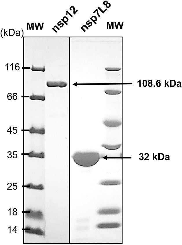 Fig. A2