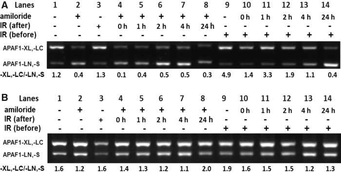 FIG. 4.