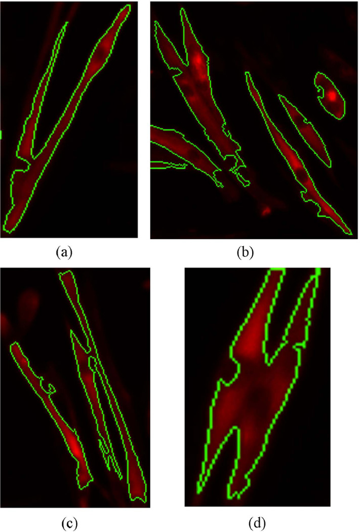 Figure 6