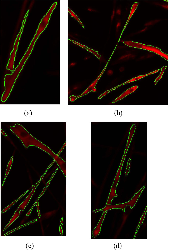 Figure 7