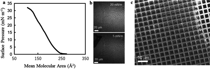 Fig. 4