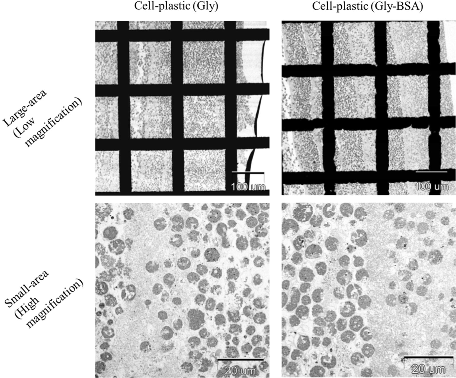 Fig. 8