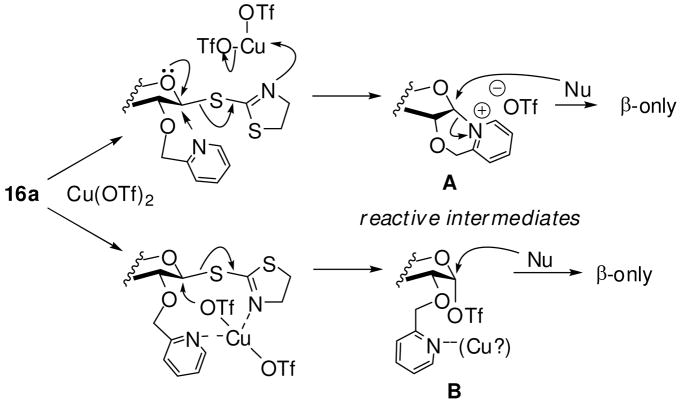 Scheme 6