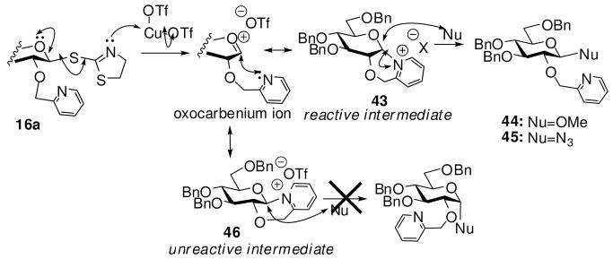 Scheme 7