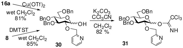 Scheme 3