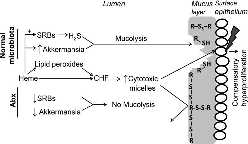 Fig. 5.