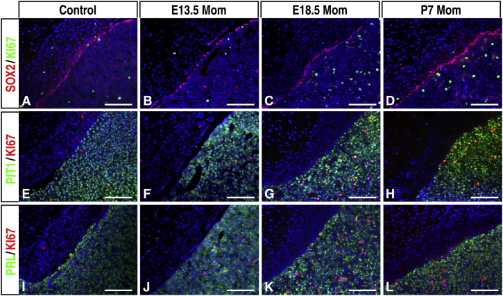 Figure 6