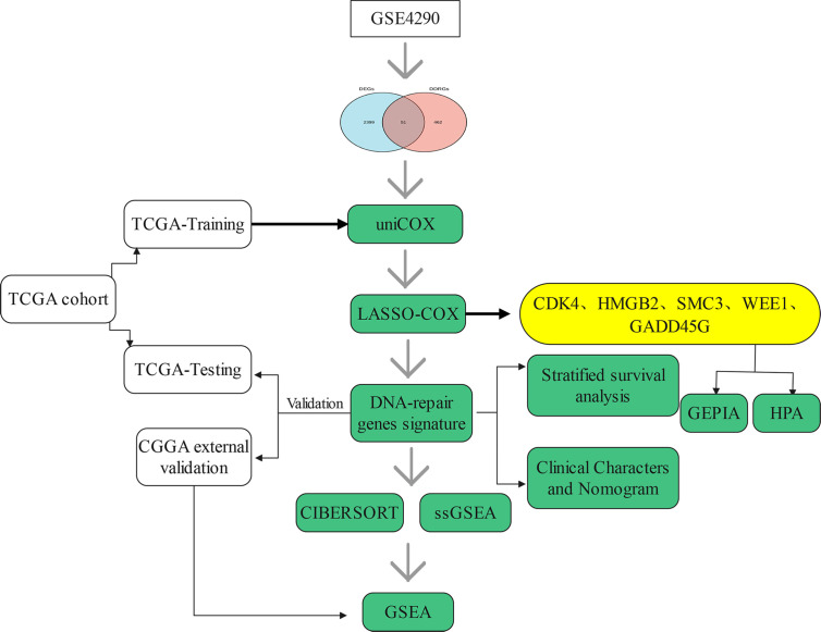 Figure 1