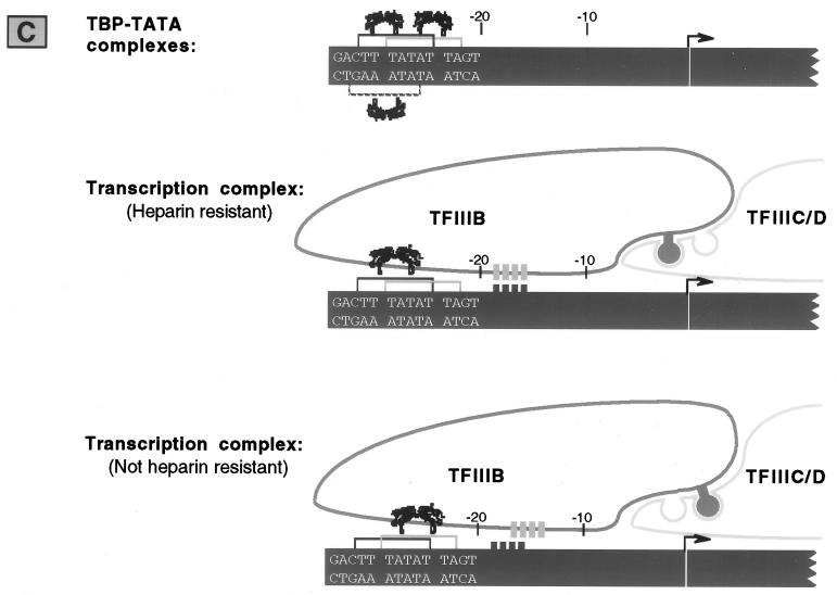 FIG. 6