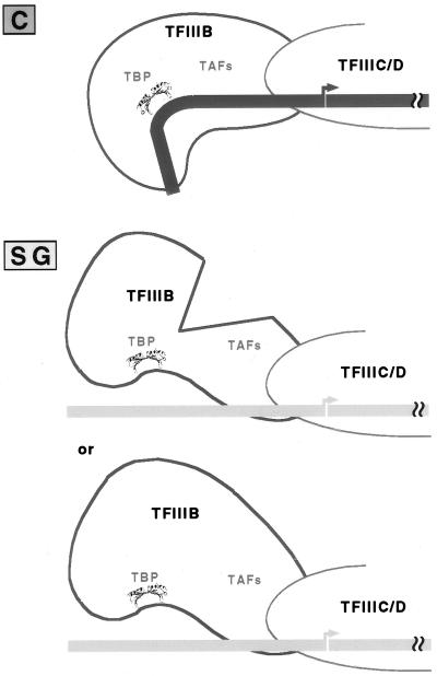 FIG. 10