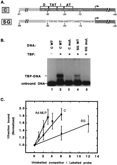 FIG. 1