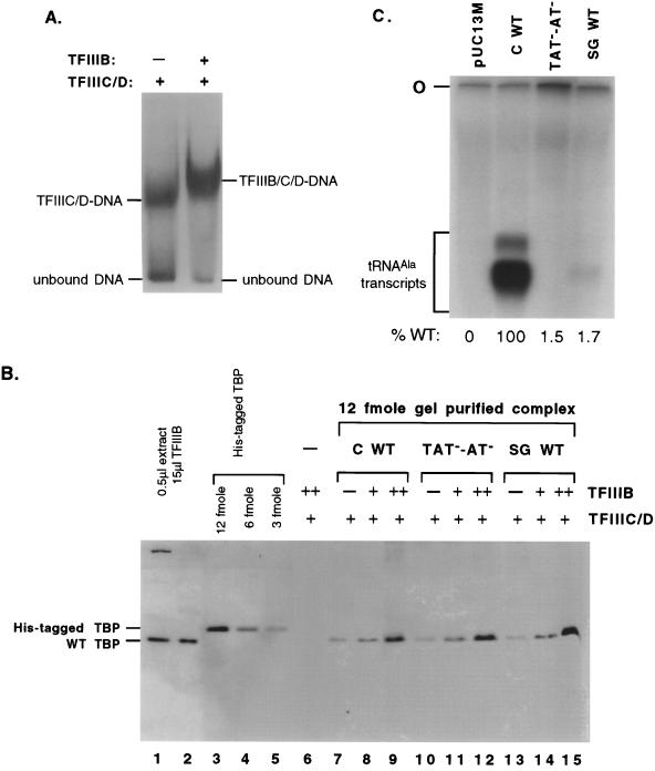 FIG. 9