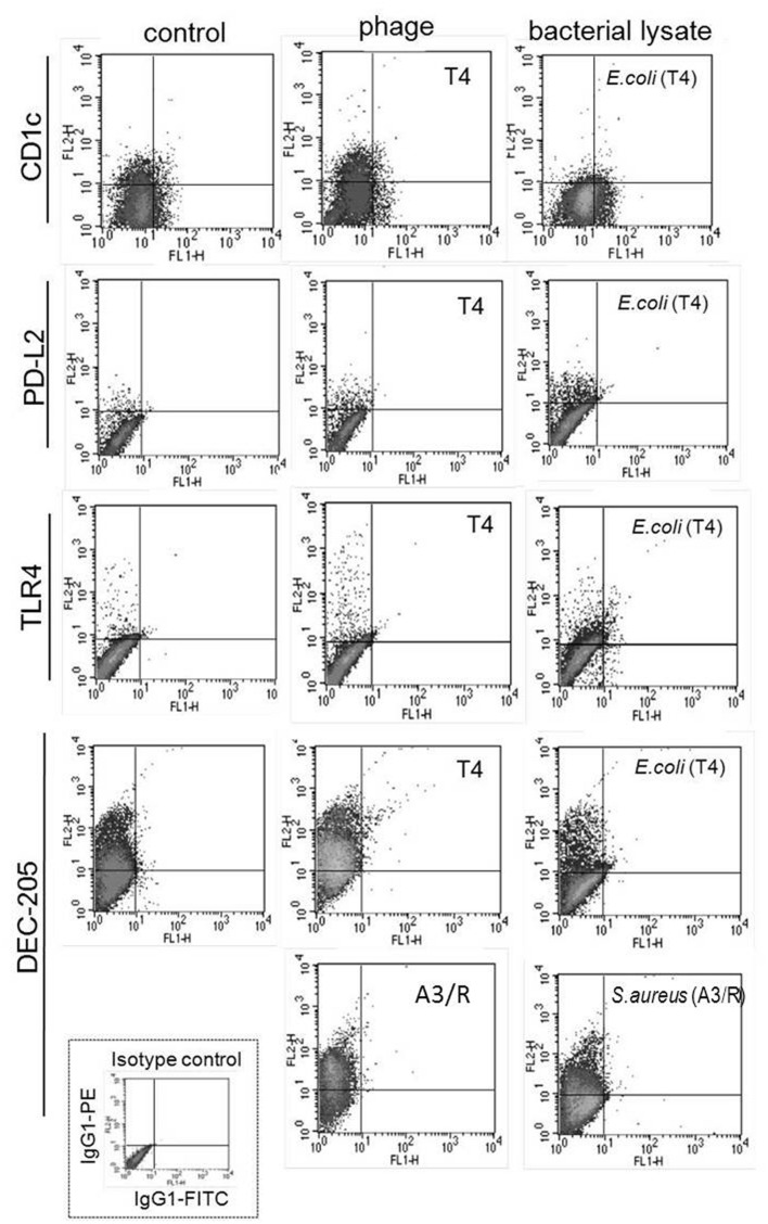 FIGURE 4