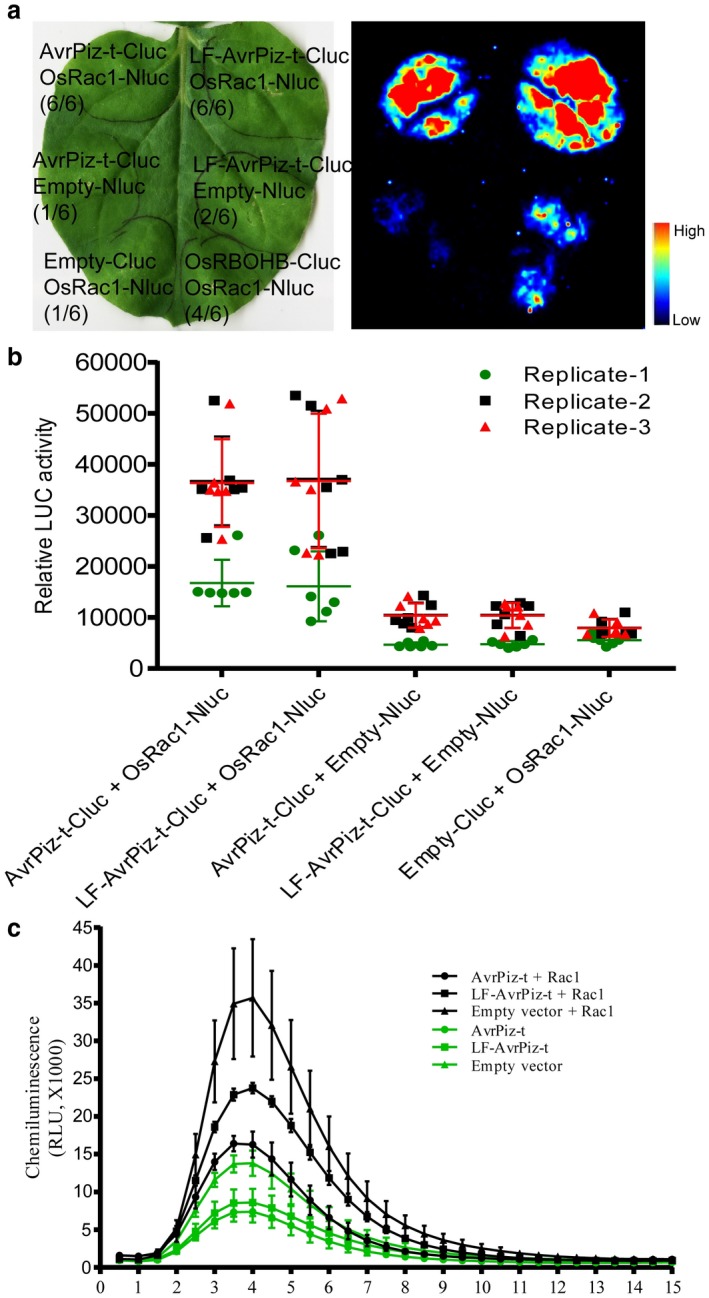 Figure 6