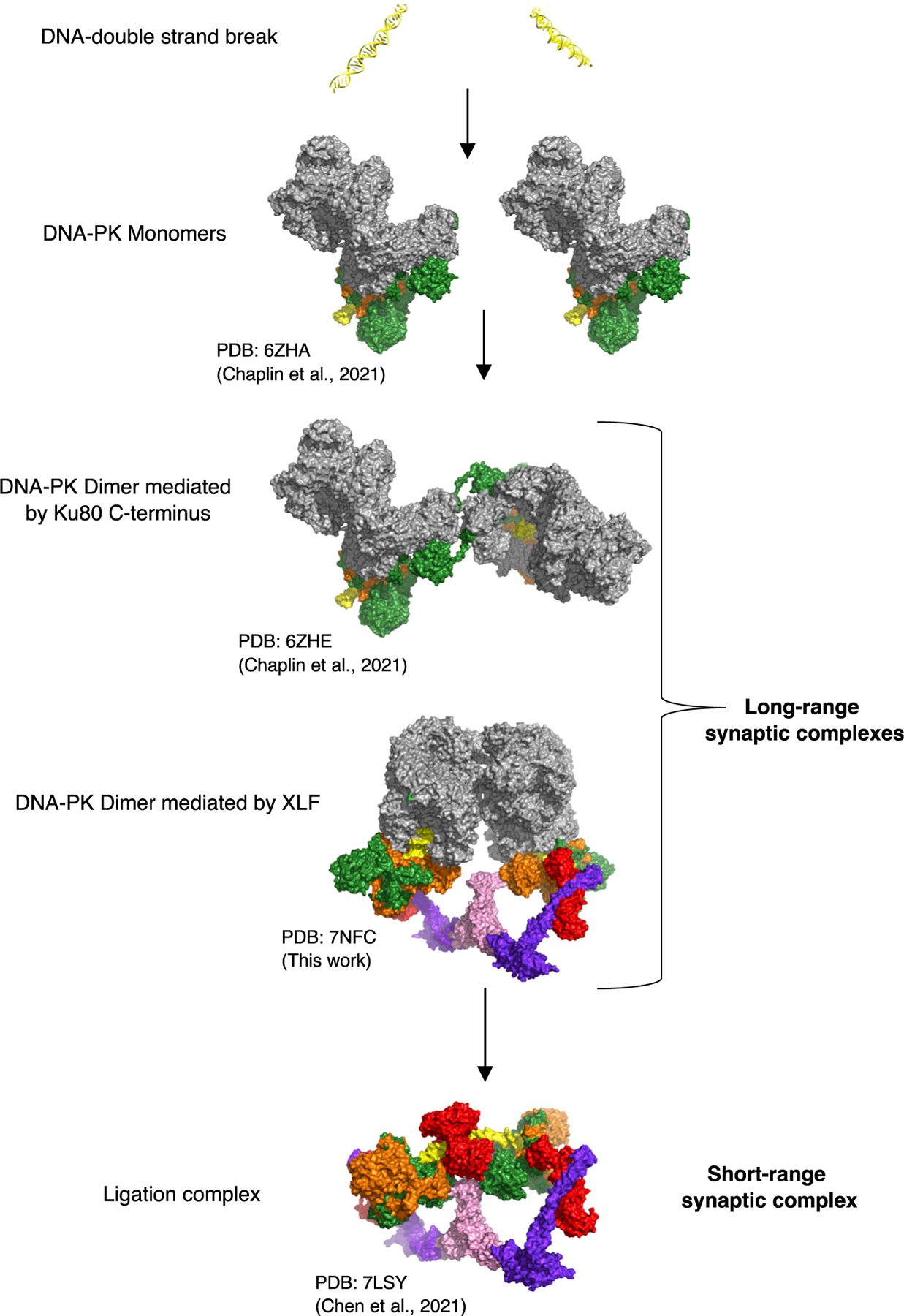 Figure 6.