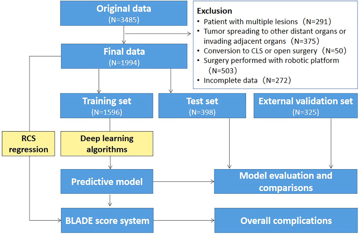 Figure 1