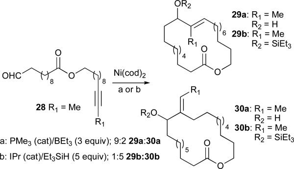 Scheme 5