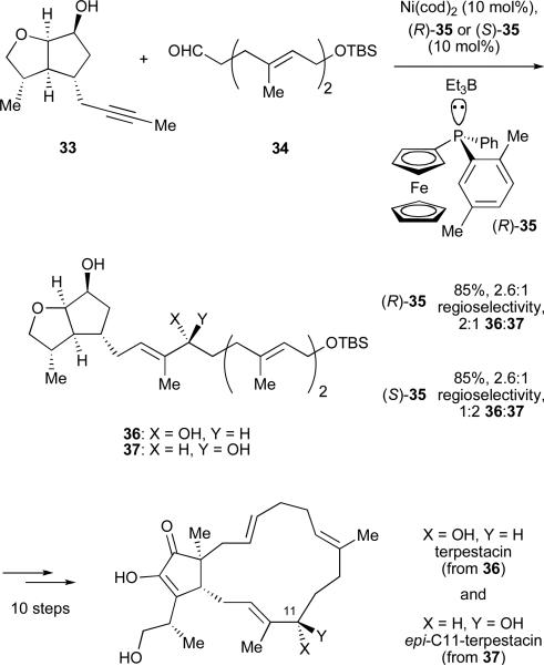 Scheme 7