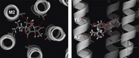 Figure 8.