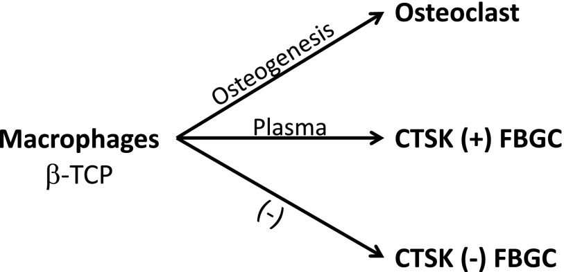 Fig. 9.