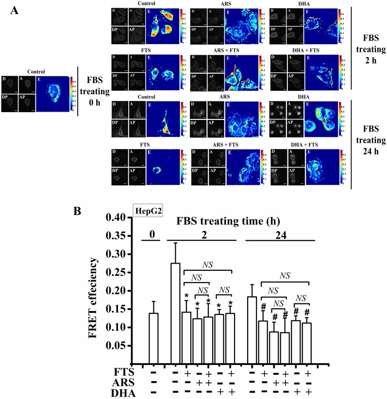 Fig 8