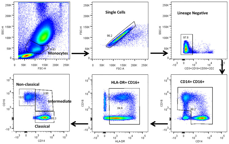 Figure 2