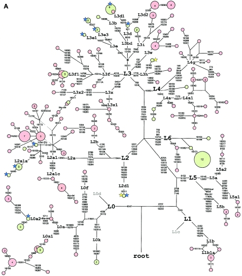 Figure  2