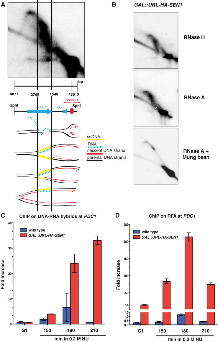 Figure 4