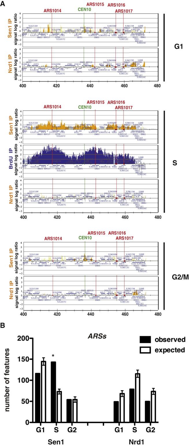 Figure 2