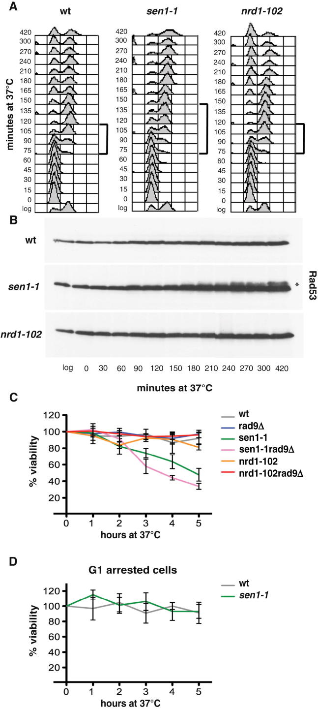 Figure 5