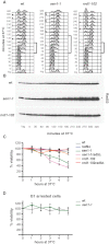 Figure 5