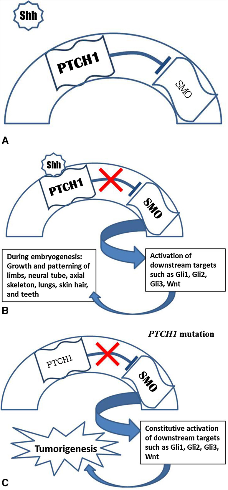 Fig. 3