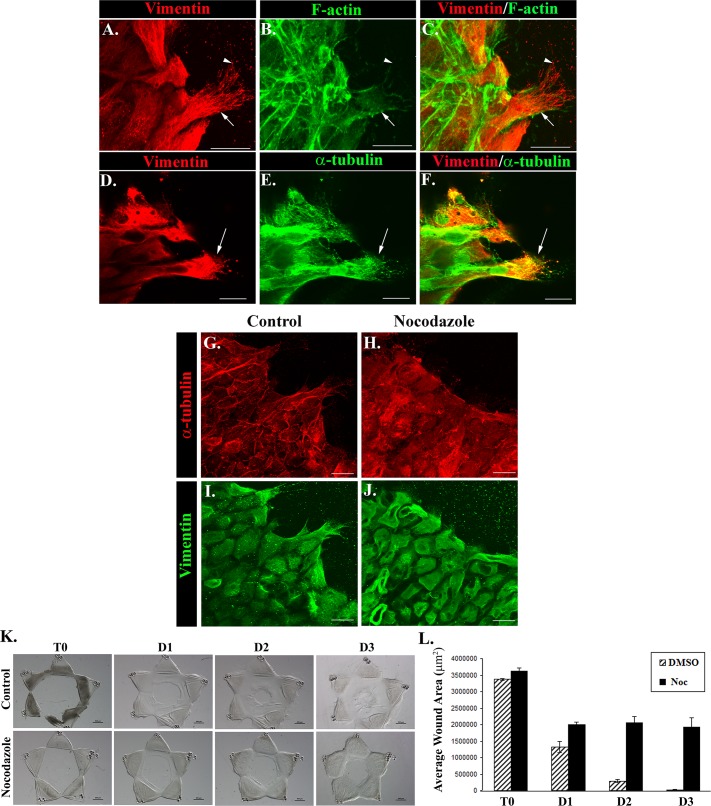 FIGURE 2: