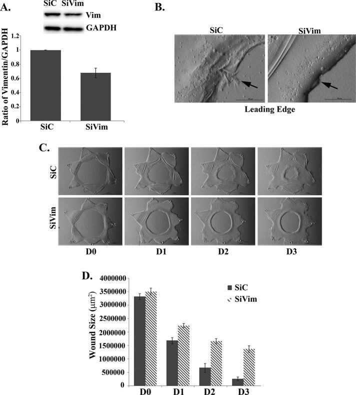 FIGURE 5: