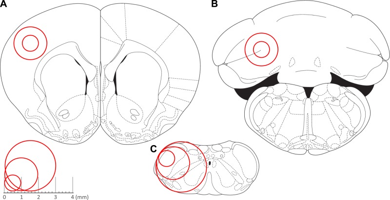 Fig. 1.