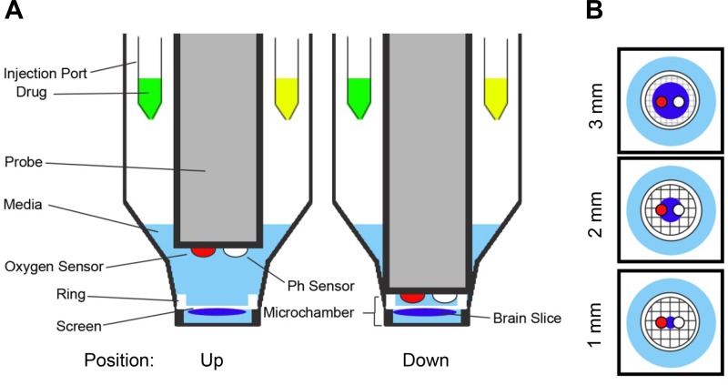 Fig. 2.